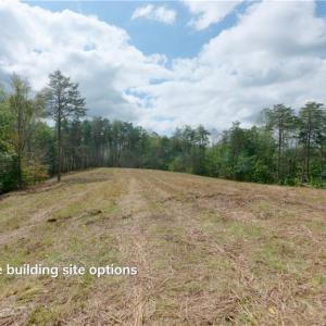 Photo #31 of 1580 Seven Island, Danbury, NC 39.0 acres