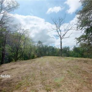 Photo #29 of 1580 Seven Island, Danbury, NC 39.0 acres