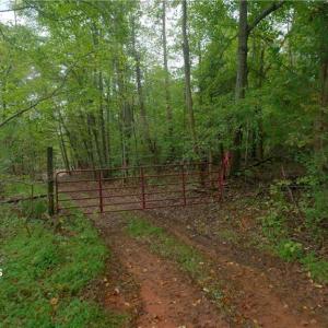 Photo #21 of 1580 Seven Island, Danbury, NC 39.0 acres