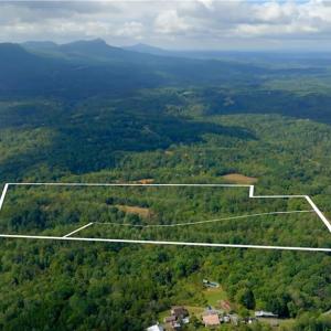 Photo #6 of 1580 Seven Island, Danbury, NC 37.4 acres