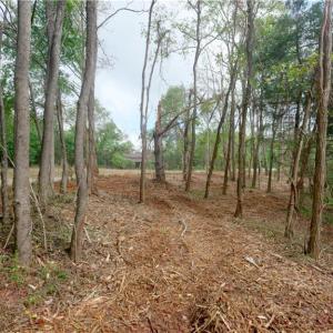 Photo #19 of 1580 Seven Island, Danbury, NC 37.4 acres