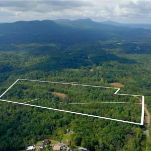 Photo #8 of 1580 Seven Island, Danbury, NC 37.4 acres