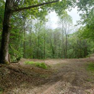 Photo #26 of 1580 Seven Island, Danbury, NC 37.0 acres