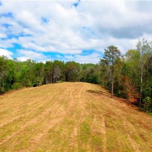 Photo #28 of 1580 Seven Island, Danbury, NC 37.0 acres