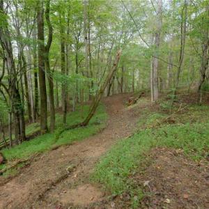 Photo #27 of 1582 Seven Island, Danbury, NC 19.0 acres