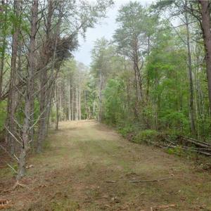 Photo #26 of 1582 Seven Island, Danbury, NC 19.0 acres