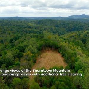 Photo #9 of 1582 Seven Island, Danbury, NC 19.0 acres