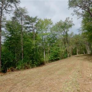 Photo #24 of 1582 Seven Island, Danbury, NC 19.0 acres