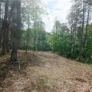 Photo #31 of 1582 Seven Island, Danbury, NC 19.0 acres