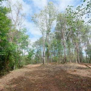 Photo #29 of 1582 Seven Island, Danbury, NC 19.0 acres