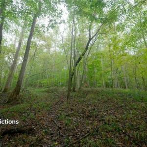 Photo #22 of 1582 Seven Island, Danbury, NC 20.8 acres