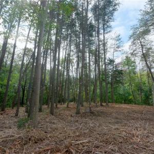 Photo #30 of 1582 Seven Island, Danbury, NC 20.8 acres