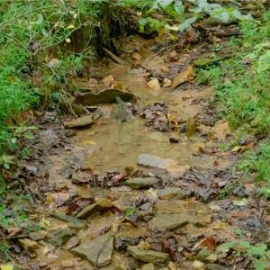 Photo #15 of 1582 Seven Island, Danbury, NC 20.8 acres