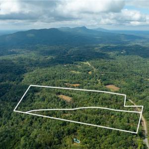 Photo #19 of 1582 Seven Island, Danbury, NC 20.8 acres