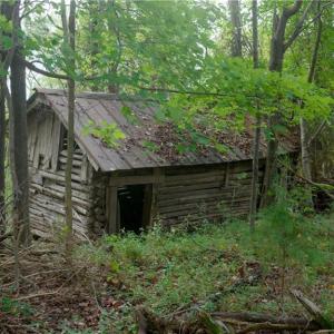 Photo #21 of 1582 Seven Island, Danbury, NC 20.8 acres