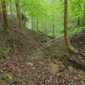 Photo #17 of 1582 Seven Island, Danbury, NC 20.8 acres