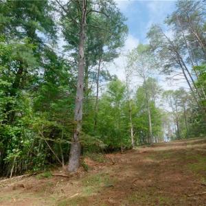 Photo #28 of 1582 Seven Island, Danbury, NC 20.8 acres