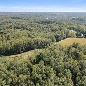 Photo #6 of 4600 River Bluff Farms, Tobaccoville, NC 6.0 acres