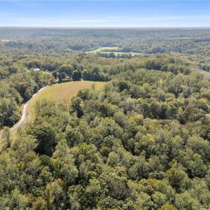 Photo #4 of 4600 River Bluff Farms, Tobaccoville, NC 6.0 acres