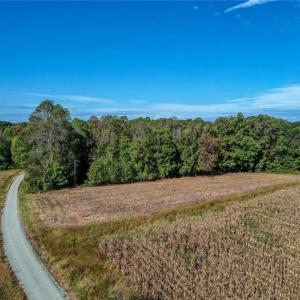 Photo #6 of Lot 1 A Joe Cobb, Ruffin, NC 14.5 acres