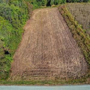 Photo #7 of Lot 1 A Joe Cobb, Ruffin, NC 14.5 acres