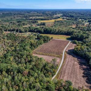 Photo #9 of Lot 1 A Joe Cobb, Ruffin, NC 14.5 acres