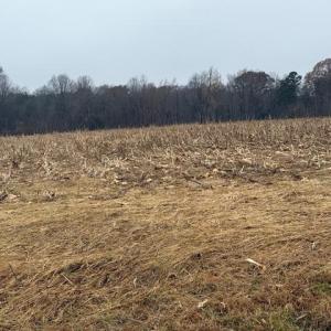 Photo #13 of Lot 1 A Joe Cobb, Ruffin, NC 14.5 acres