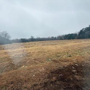 Photo #12 of Lot 1 A Joe Cobb, Ruffin, NC 14.5 acres