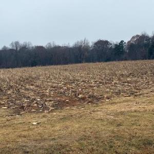 Photo #14 of Lot 1 A Joe Cobb, Ruffin, NC 14.5 acres