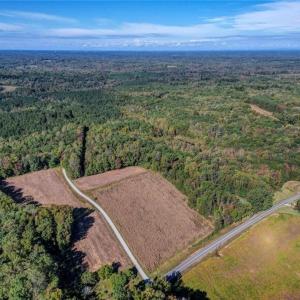 Photo #4 of Lot 1 A Joe Cobb, Ruffin, NC 14.5 acres