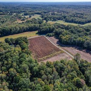 Photo #8 of Lot 1 A Joe Cobb, Ruffin, NC 14.5 acres