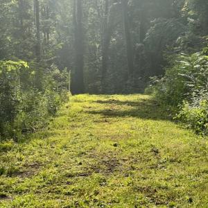 Photo #3 of 4530 Peeples, Oak Ridge, NC 4.5 acres