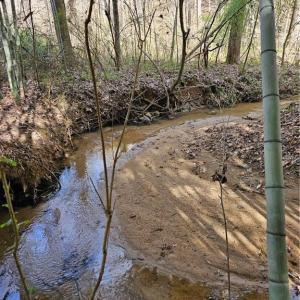 Photo #13 of 4530 Peeples, Oak Ridge, NC 4.5 acres