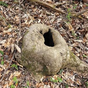 Photo #12 of 4530 Peeples, Oak Ridge, NC 4.5 acres