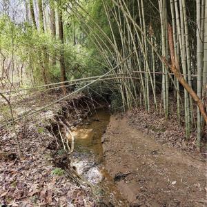 Photo #7 of 4530 Peeples, Oak Ridge, NC 4.5 acres