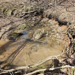 Photo #9 of 4530 Peeples, Oak Ridge, NC 4.5 acres