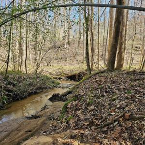 Photo #10 of 4530 Peeples, Oak Ridge, NC 4.5 acres