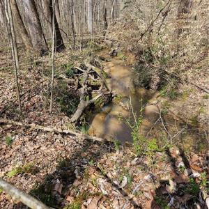 Photo #11 of 4530 Peeples, Oak Ridge, NC 4.5 acres