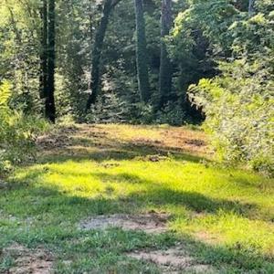 Photo #4 of 4530 Peeples, Oak Ridge, NC 4.5 acres