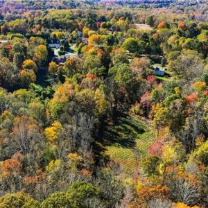 Photo #9 of 4530 Peeples, Oak Ridge, NC 4.5 acres