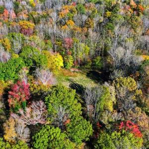 Photo #10 of 4530 Peeples, Oak Ridge, NC 4.5 acres