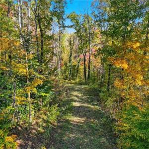 Photo #6 of 4530 Peeples, Oak Ridge, NC 4.5 acres