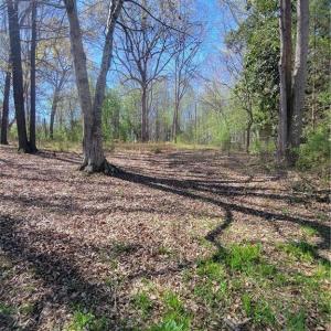 Photo #3 of 4650 Huntingwood, Ramseur, NC 4.4 acres
