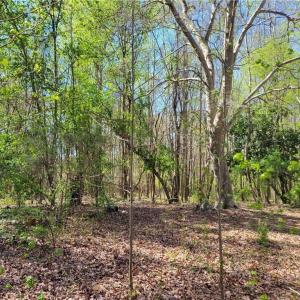Photo #2 of 4650 Huntingwood, Ramseur, NC 4.4 acres