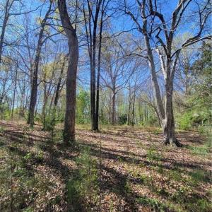 Photo #4 of 4650 Huntingwood, Ramseur, NC 4.4 acres