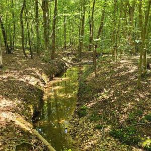Photo #2 of Grassy Knob, Pilot Mountain, NC 47.0 acres