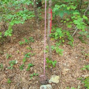Photo #13 of Grassy Knob, Pilot Mountain, NC 47.0 acres