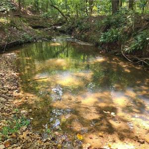 Photo #5 of Grassy Knob, Pilot Mountain, NC 47.0 acres