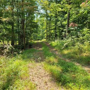 Photo #17 of Grassy Knob, Pilot Mountain, NC 25.0 acres