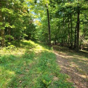 Photo #16 of Grassy Knob, Pilot Mountain, NC 25.0 acres